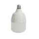 T Bulb